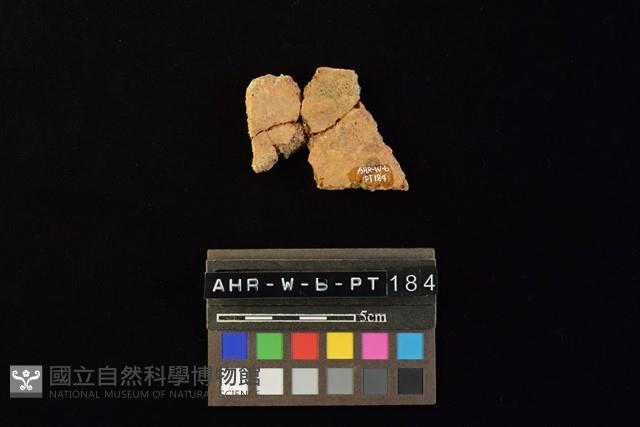 Accession Number:AHR-W-b-PT184 Collection Image, Figure 2, Total 4 Figures