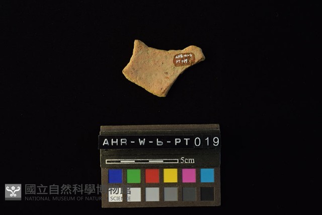 陶片藏品圖，第3張