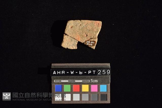 陶片藏品圖，第3張