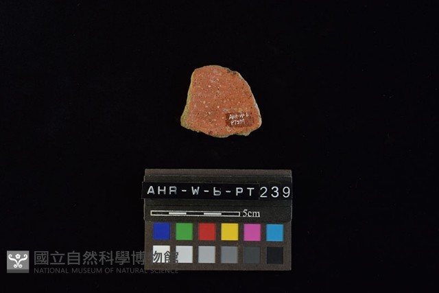 陶片藏品圖，第1張