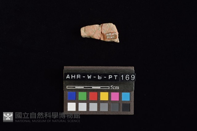 陶片藏品圖，第2張