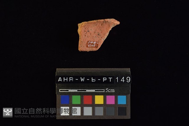 陶片藏品圖，第2張