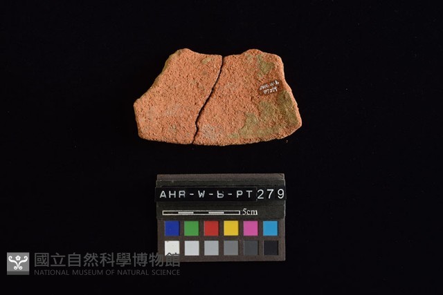 陶片藏品圖，第3張