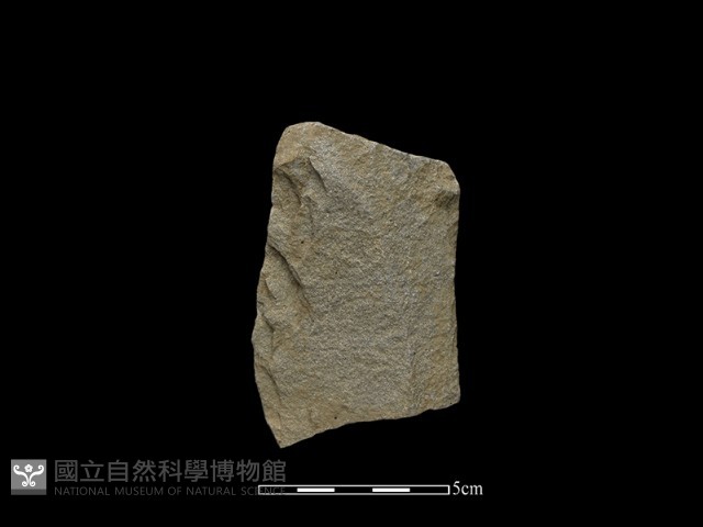 斧鋤形器藏品圖，第2張