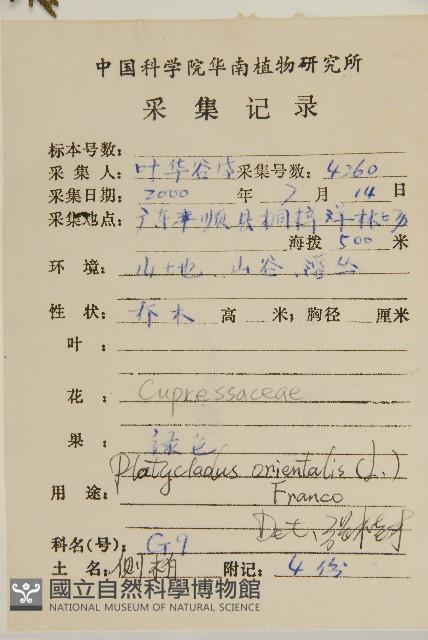 側柏藏品圖，第2張