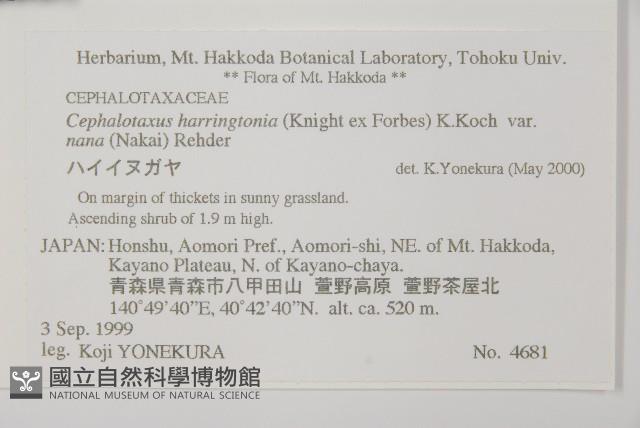 登錄號:G000809藏品圖，第2張