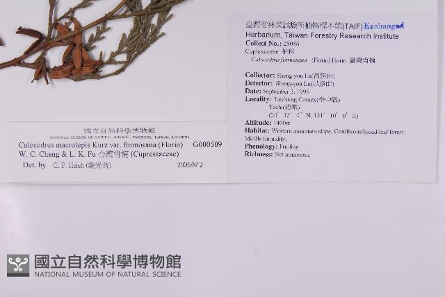 台灣肖楠藏品圖，第2張