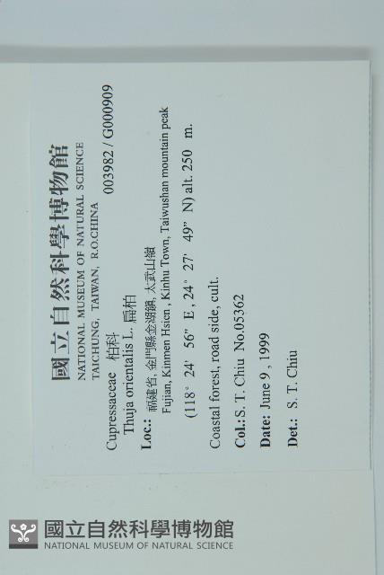 側柏藏品圖，第2張