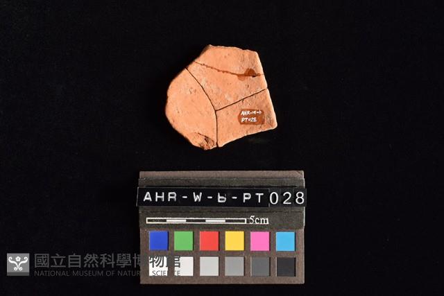 陶片藏品圖，第3張