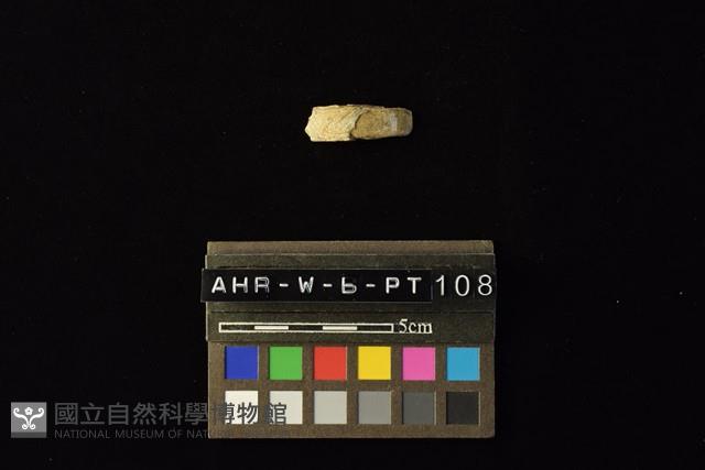 陶環藏品圖，第3張