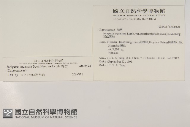 香青藏品圖，第2張