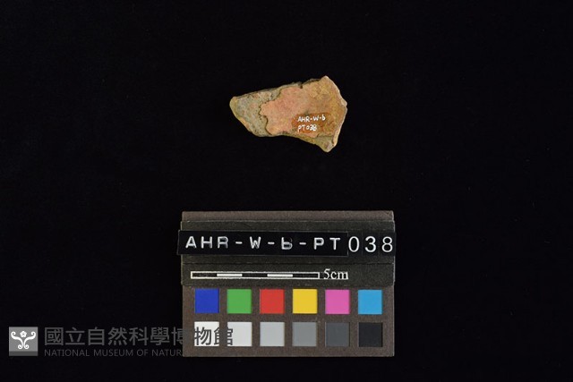陶片藏品圖，第3張