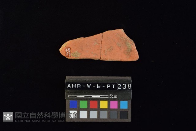陶片藏品圖，第2張