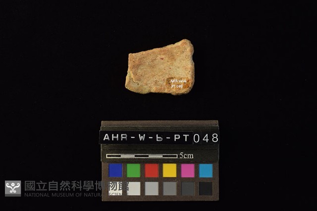 陶片藏品圖，第3張