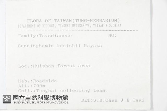 杉木藏品圖，第2張