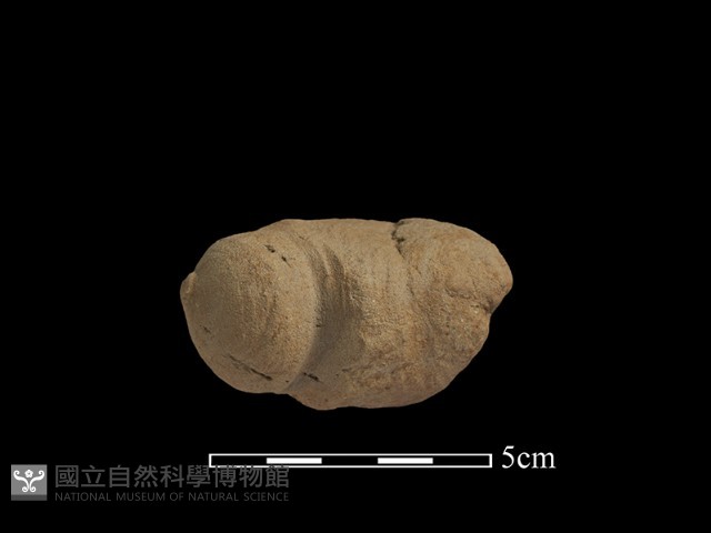 斧鋤形器藏品圖，第3張