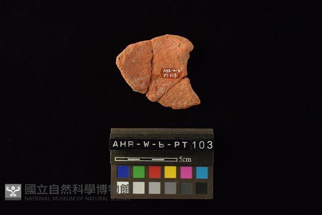 陶片藏品圖，第3張