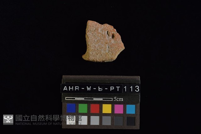 陶罐藏品圖，第3張