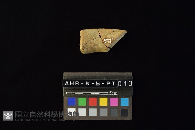 陶罐藏品圖，第3張
