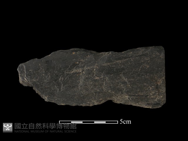 戈形器藏品圖，第1張