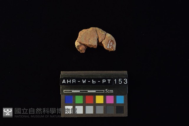 陶片藏品圖，第1張