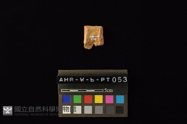 陶片藏品圖，第3張