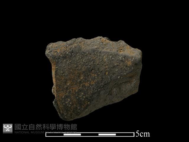 陶片藏品圖，第2張