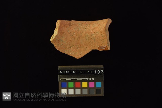 陶罐藏品圖，第3張