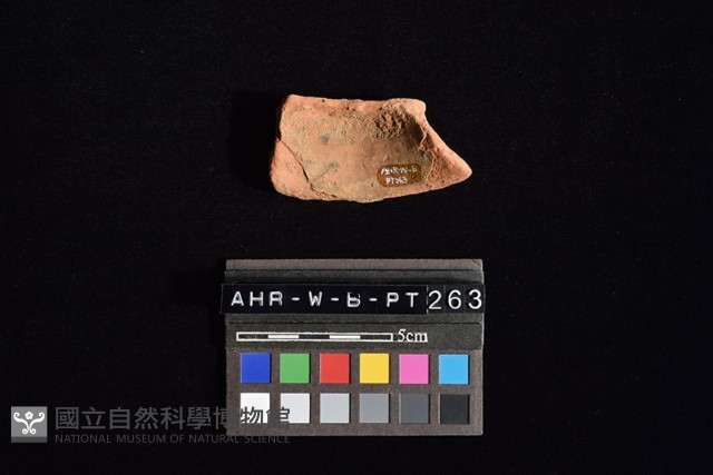 陶片藏品圖，第3張