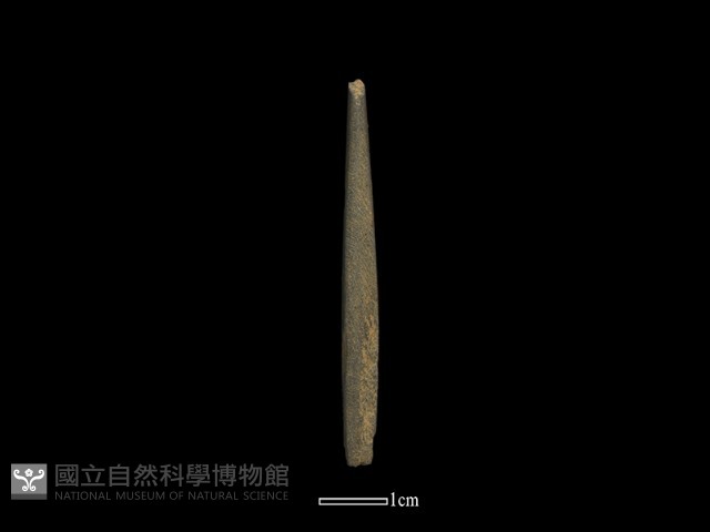 鑽頭藏品圖，第1張
