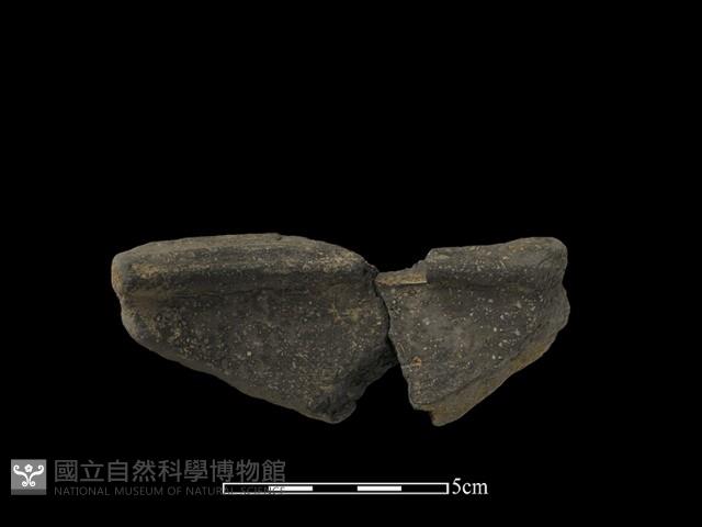 陶片藏品圖，第2張