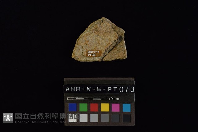 陶片藏品圖，第3張