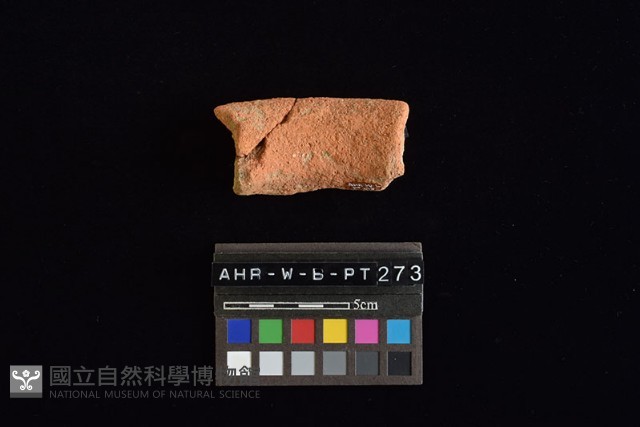 陶罐藏品圖，第3張