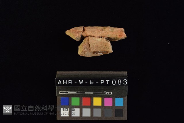 陶罐藏品圖，第2張