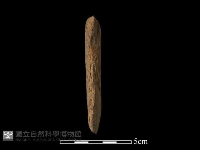 錛鑿形器藏品圖，第2張