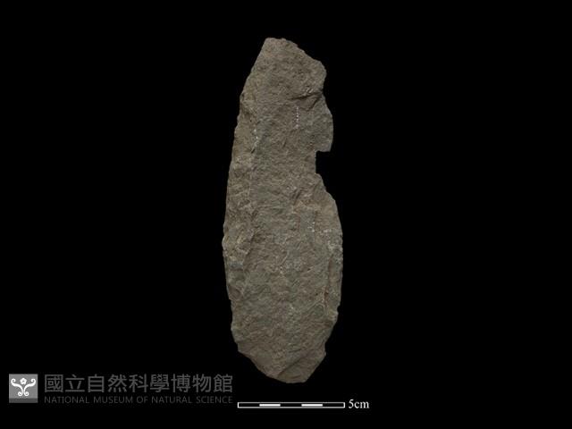 斧鋤形器藏品圖，第2張