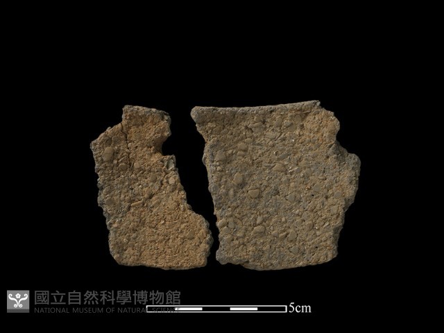 陶片藏品圖，第1張