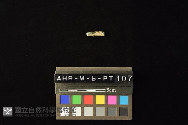 陶環藏品圖，第3張