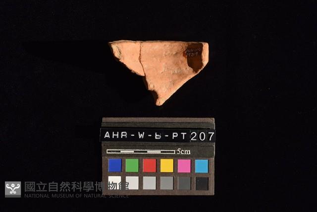 陶片藏品圖，第1張