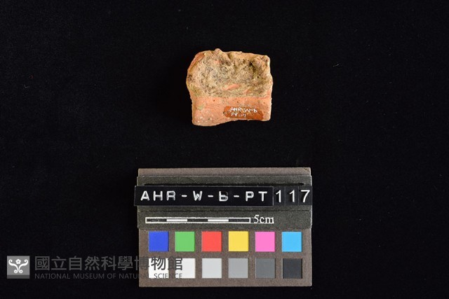 陶罐藏品圖，第3張