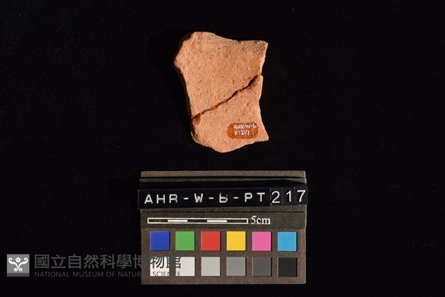 陶罐藏品圖，第3張