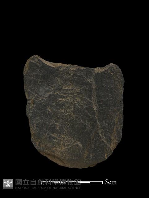 石鏟藏品圖，第2張