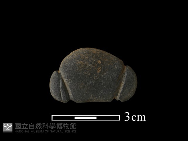網墜藏品圖，第2張
