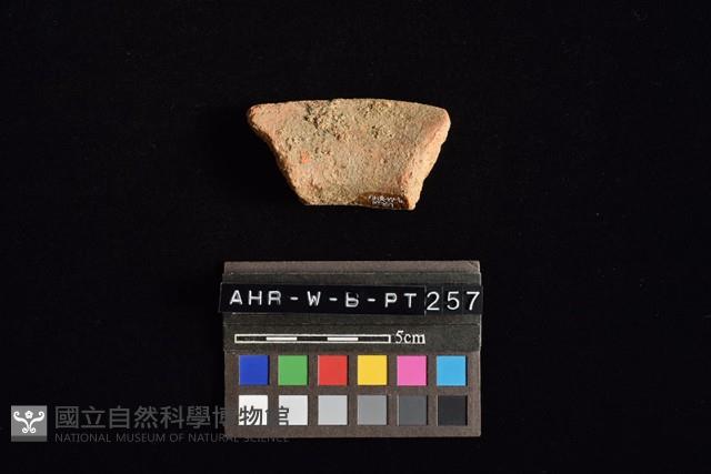 陶罐藏品圖，第3張