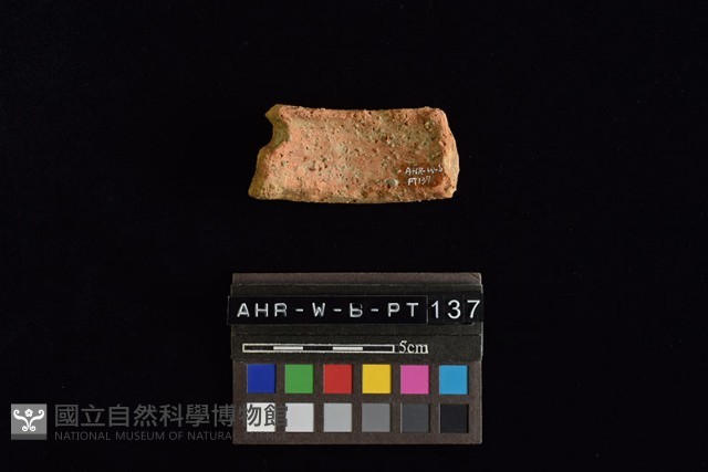 陶片藏品圖，第2張