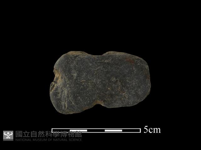 Accession Number:PTT-2009-0137 Collection Image, Figure 2, Total 2 Figures