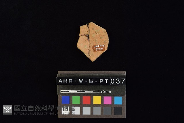陶片藏品圖，第2張
