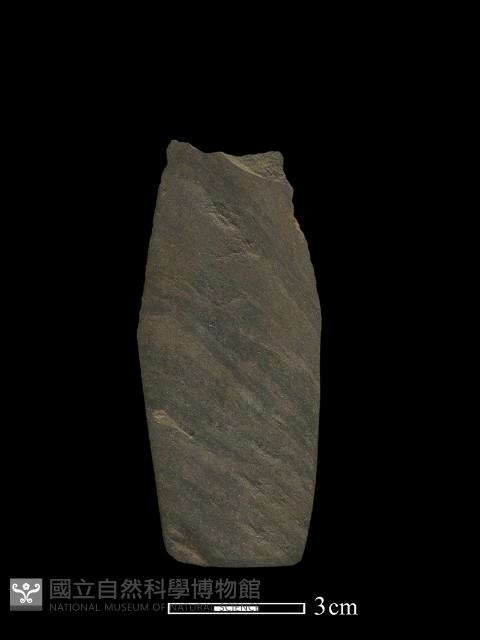 Accession Number:PTT-2011-1437 Collection Image, Figure 1, Total 2 Figures