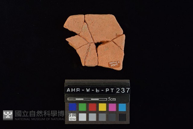 陶片藏品圖，第3張
