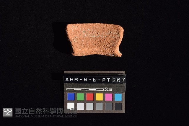 陶罐藏品圖，第1張